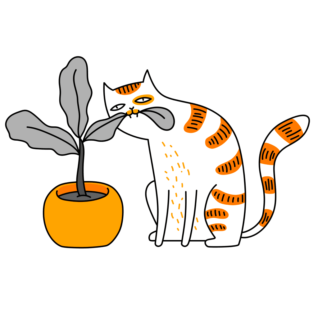 kattvänliga växter
